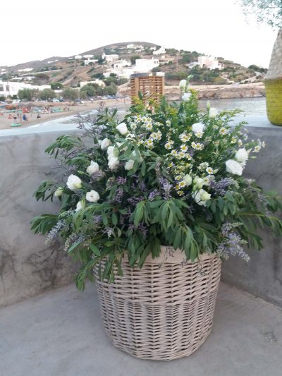 Gamos Flower In Basket9
